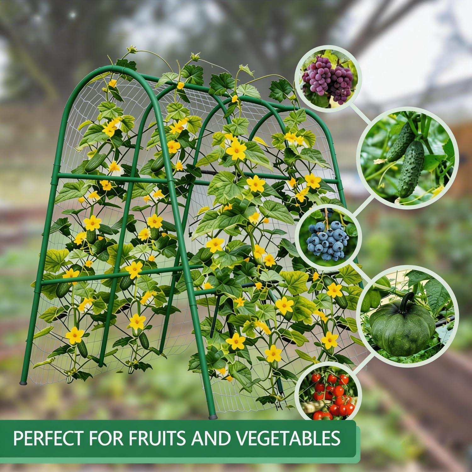 4x5.3FT Tuinbogenrooster voor  - Plants X recensie en prijs
