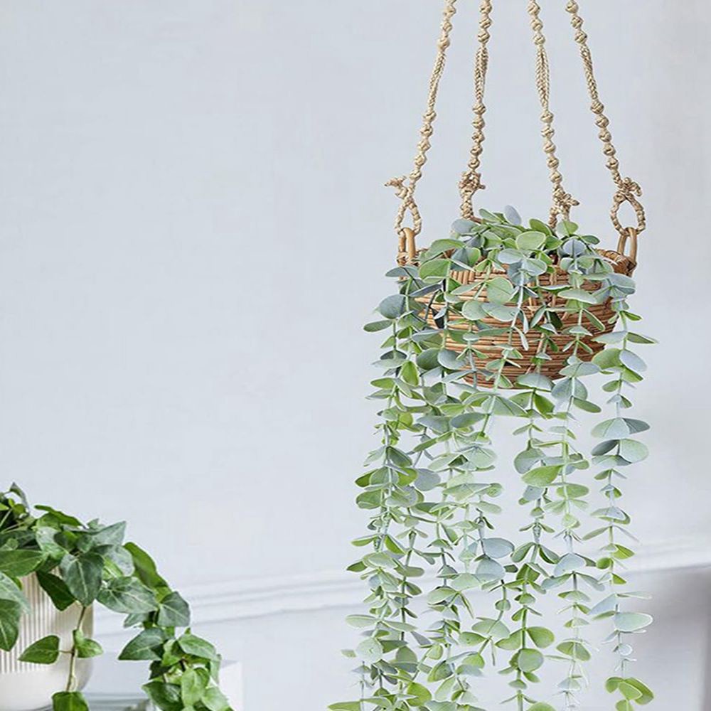 Kunstmatige klimop hangende eu - String Of Pearls Plant recensie en prijs