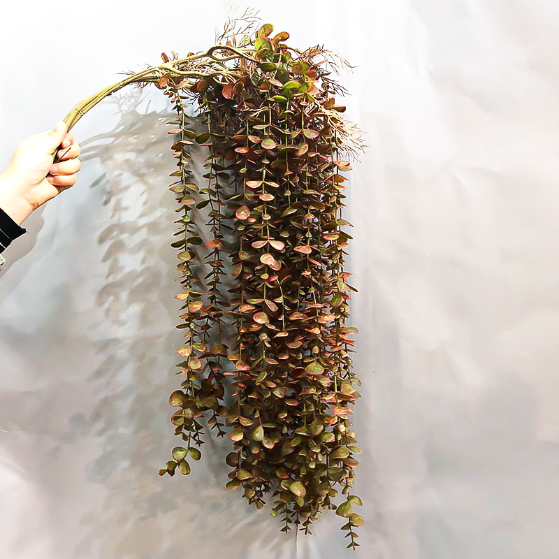 104 Cm Nep Eucalyptus Rotan Ku - String Of Pearls Plant recensie en prijs