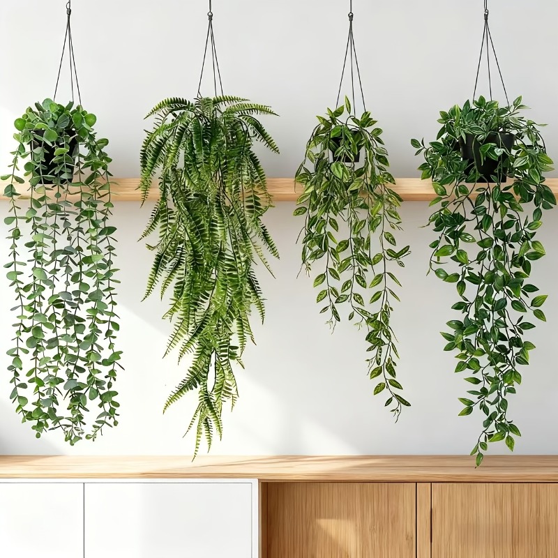 4-delige hangende groenplanten - String Of Pearls Plant recensie en prijs