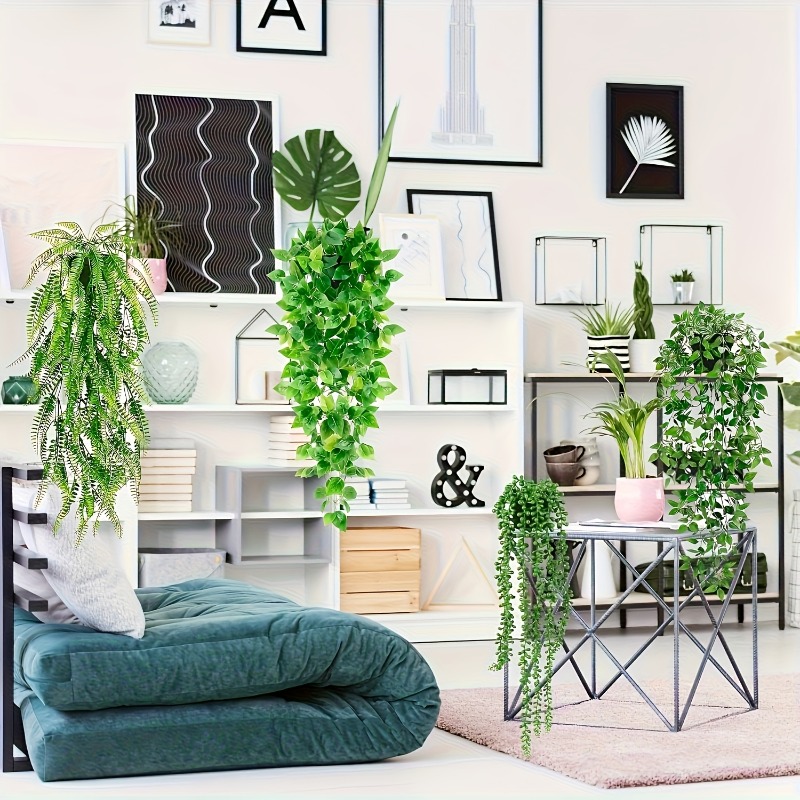 4-delige hangende groenplanten - String Of Pearls Plant recensie en prijs