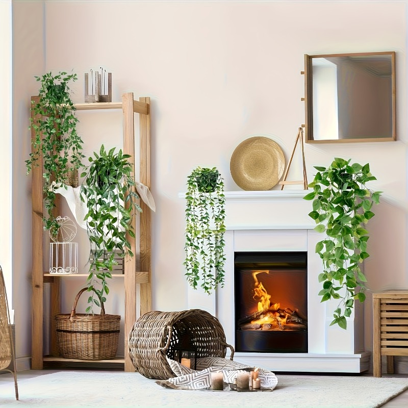 4-delige hangende groenplanten - String Of Pearls Plant recensie en prijs