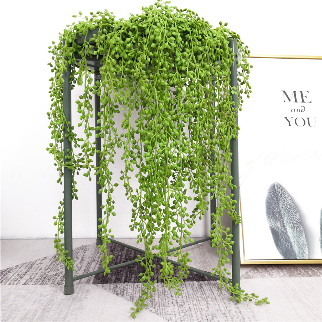 Kunstplanten Wijnstokken Muuro - String Of Pearls Plant recensie en prijs