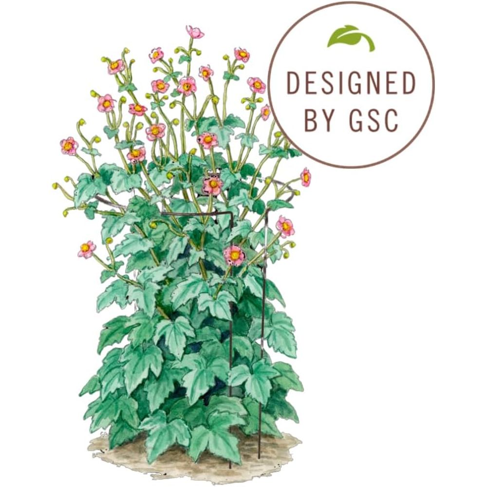 Metal tuinplantensteunen |   D - Plants X recensie en prijs