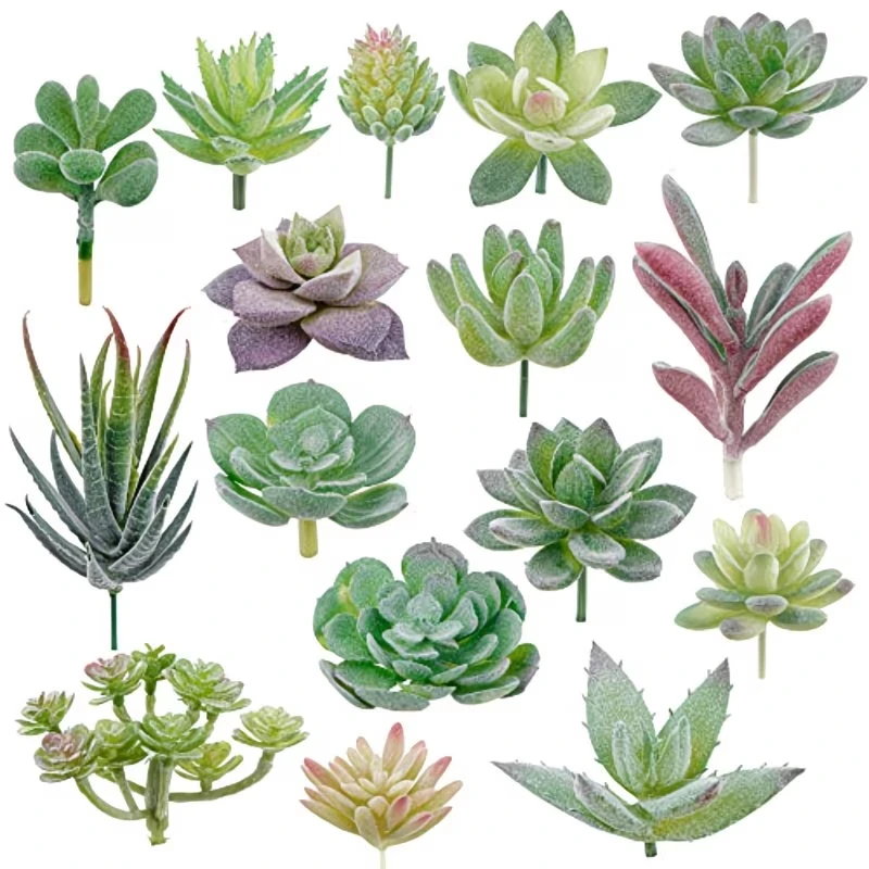 10/20 Stuks PVC Vetplanten Pla - String Of Pearls Plant recensie en prijs