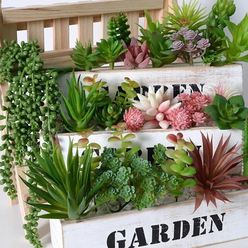 10/20 Stuks PVC Vetplanten Pla - String Of Pearls Plant recensie en prijs