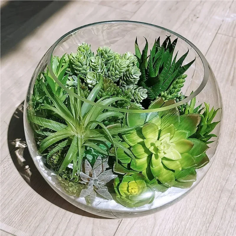 10/20 Stuks PVC Vetplanten Pla - String Of Pearls Plant recensie en prijs